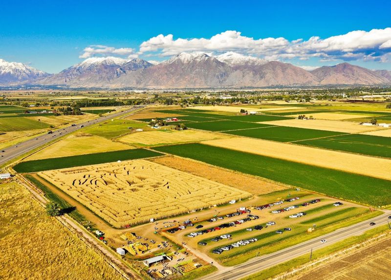 The Corn Maze Itself: Three Paths, One Giant Adventure