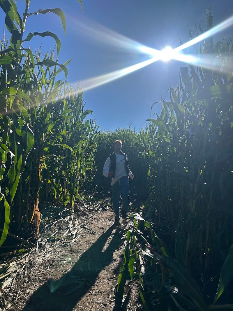 The Corn Maze That Keeps You Guessing
