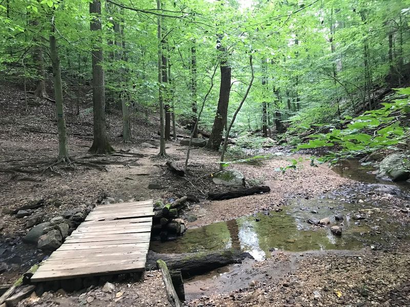 The Daniels Area: Quiet, Woodsy, and Full of Discovery