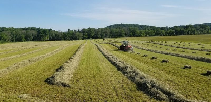 The Drive Through Amish Country