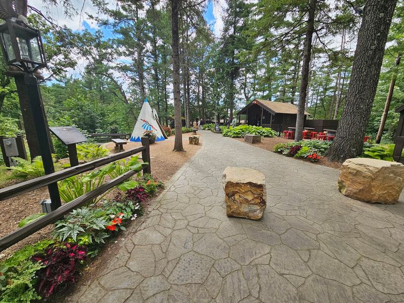 The Drive Through The Pines The Drive Through The Pines