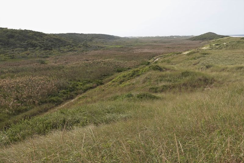 The Dunes and Landscape: A Backdrop That Earns Its Reputation The Dunes and Landscape: A Backdrop That Earns Its Reputation