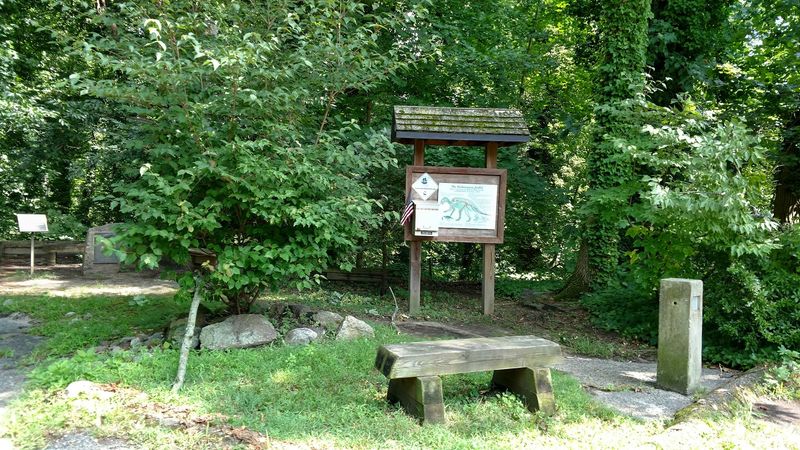 The Eagle Scout Who Brought the Site Back to Life
