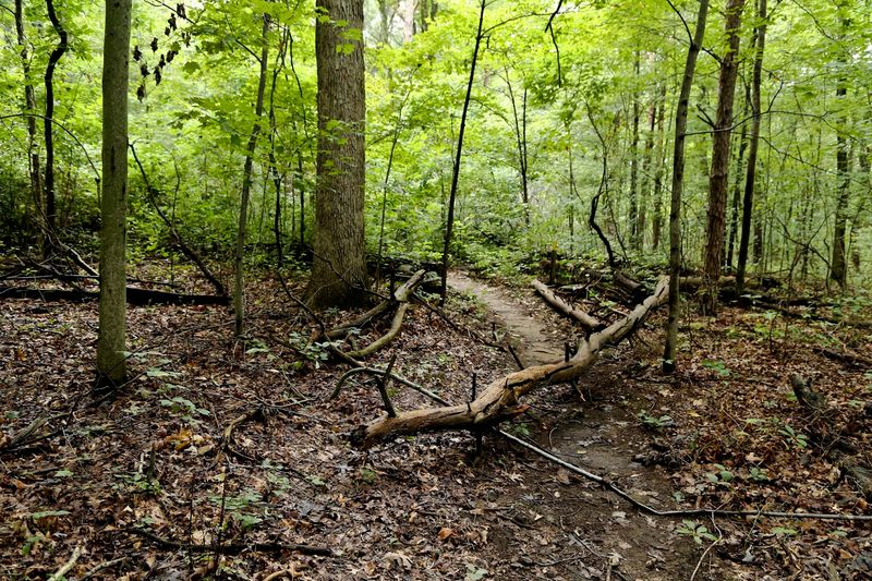 The Easiest Trail You Will Ever Love