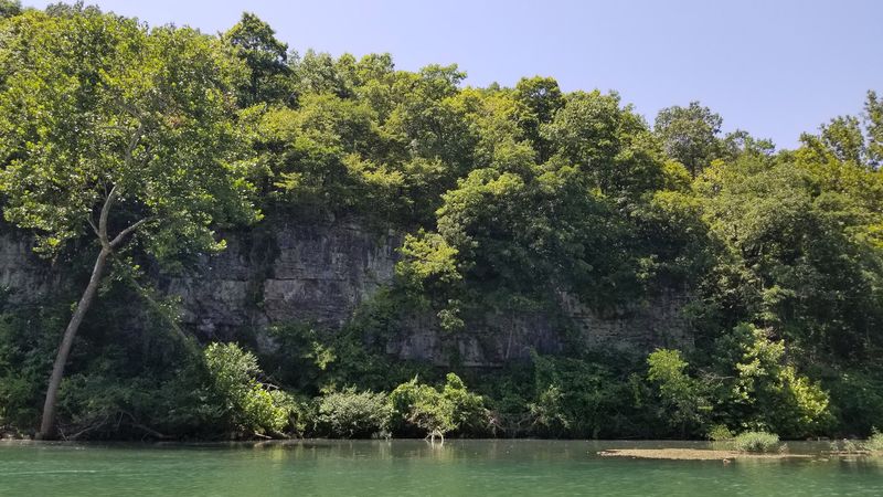 The Eleven Point River Deserves a Spot on Every Missouri Bucket List