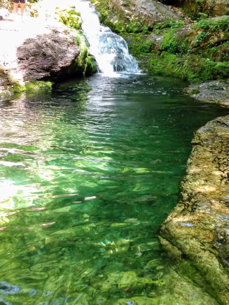 The Emerald Glow That Stops You Cold