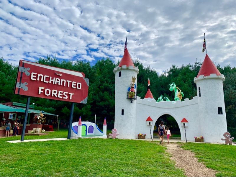 The Enchanted Forest Comes Back to Life The Enchanted Forest Comes Back to Life