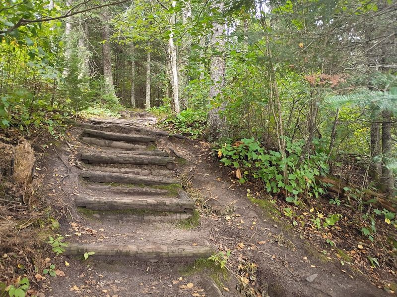 The Esker: Walking on a Glacial Ridge