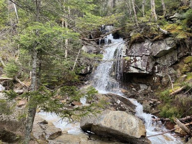 The Falling Waters Trail Ascent That Sets the Stage