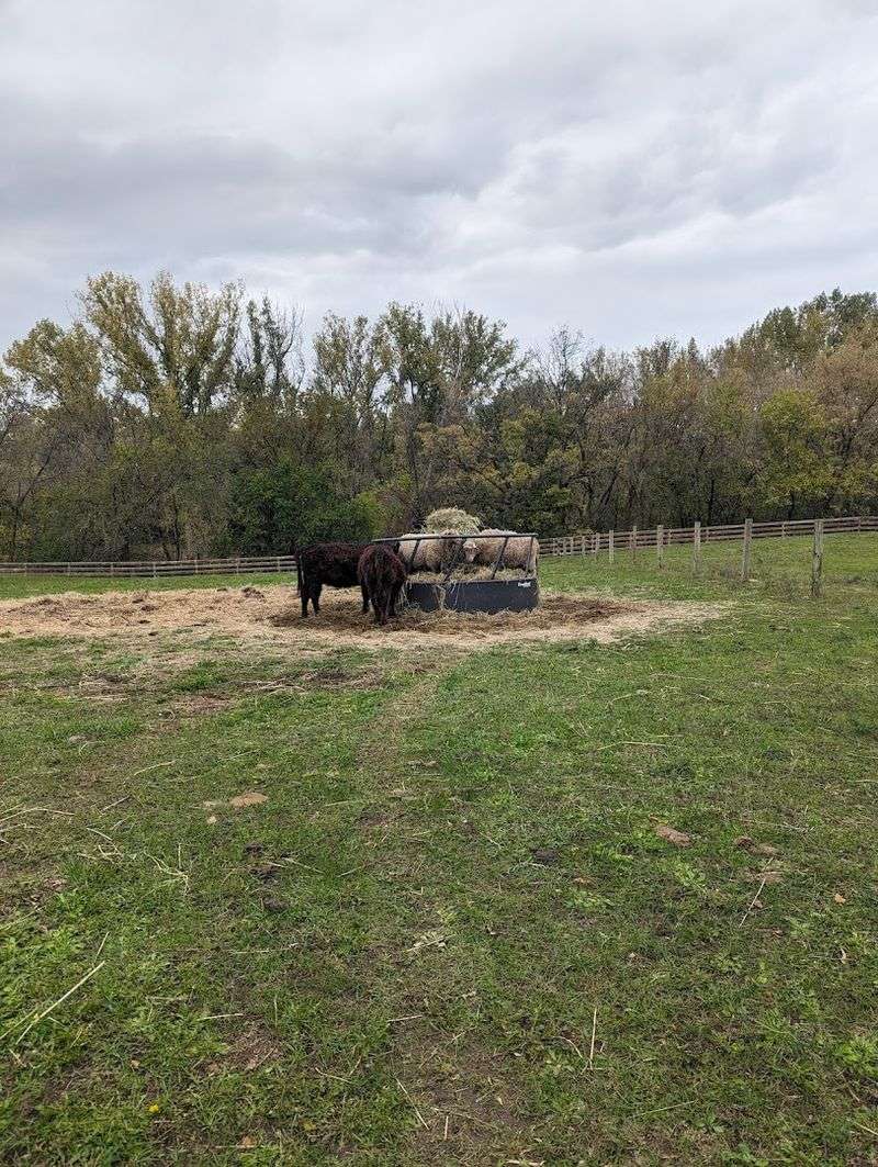 The Farm Animals That Kids (and Adults) Absolutely Love