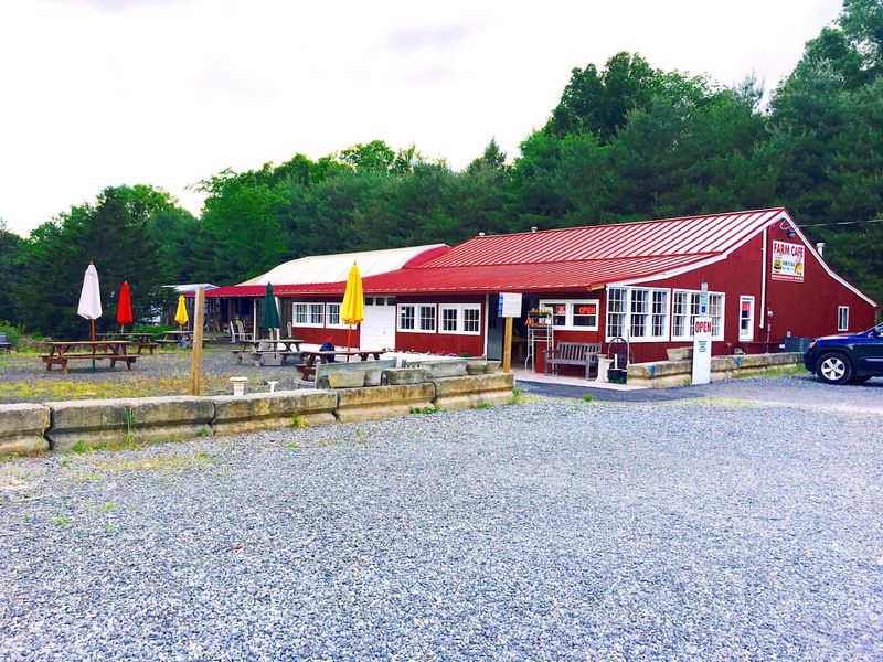 The Farm Cafe Serving All-Natural, Locally Grown Food