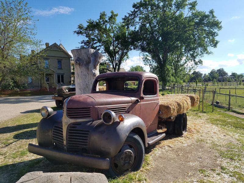 The Farm Feels Especially Good In The Morning Light
