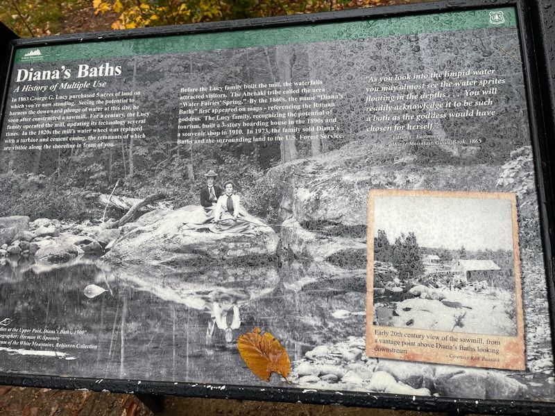 The Fascinating History Behind the Name