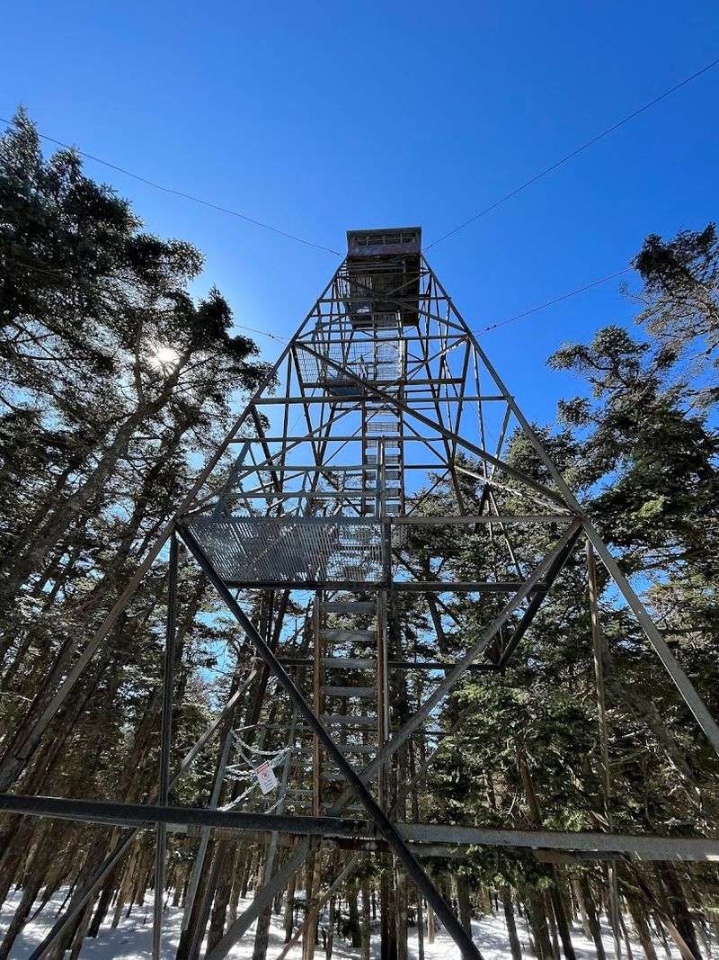 The Fire Tower, the Trails, and What the Summit Actually Feels Like The Fire Tower, the Trails, and What the Summit Actually Feels Like
