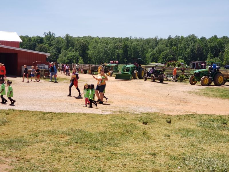 The First Look Across The Farm