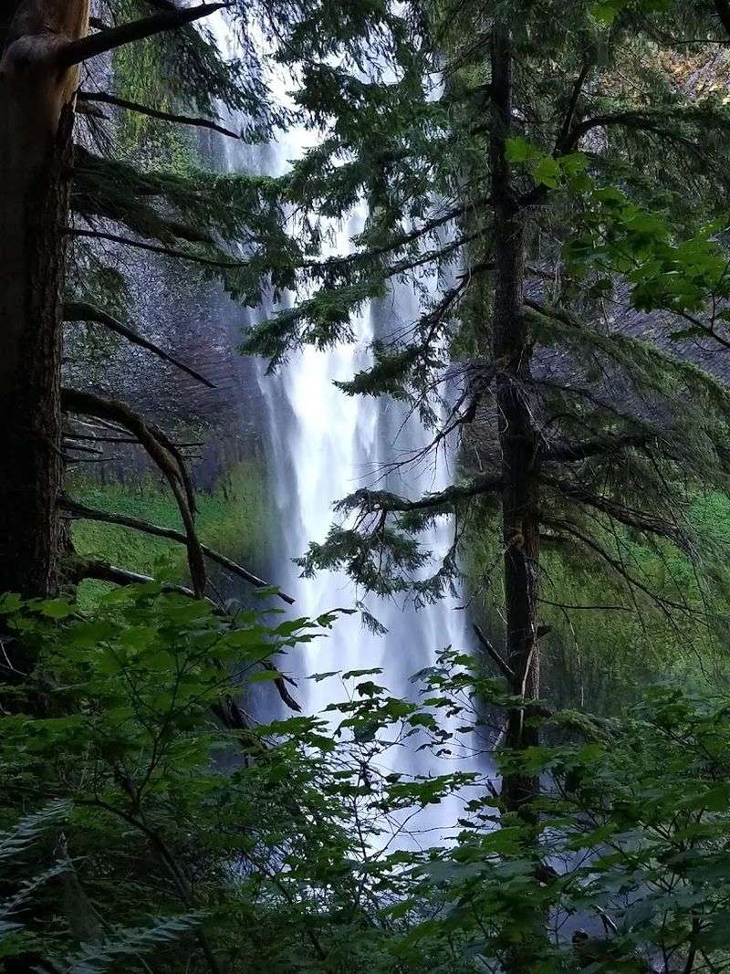 The First Sound Of The Water