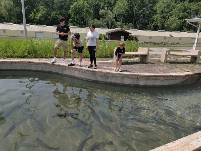 The Fish Hatchery Has A Quiet Kind Of Magic The Fish Hatchery Has A Quiet Kind Of Magic