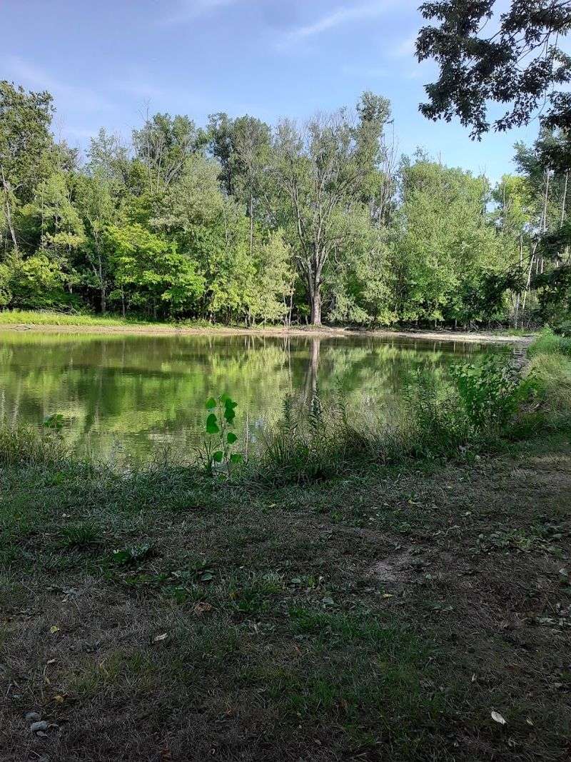 The Fishing Pond Tucked Behind the Trails