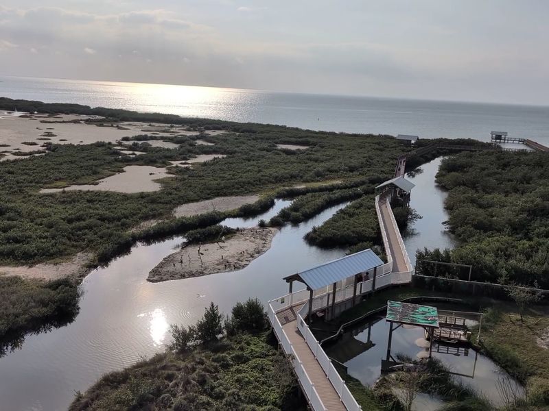 The Five-Story Observation Tower and Its Jaw-Dropping Views