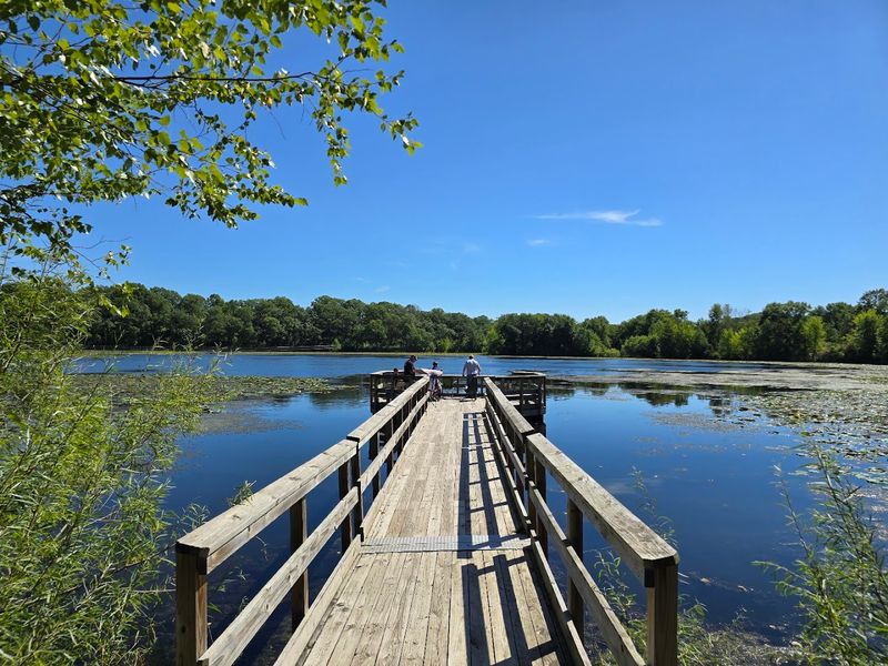 The Floating Boardwalks Over the Water