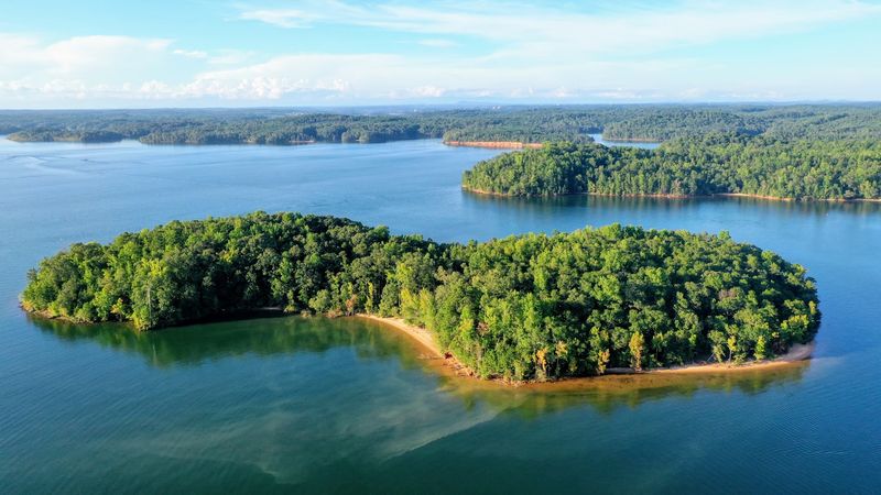 The Flooding of Harrisburg Plantation and How an Island Was Born The Flooding of Harrisburg Plantation and How an Island Was Born