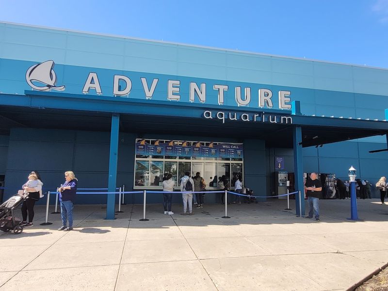The Food Scene Inside the Aquarium