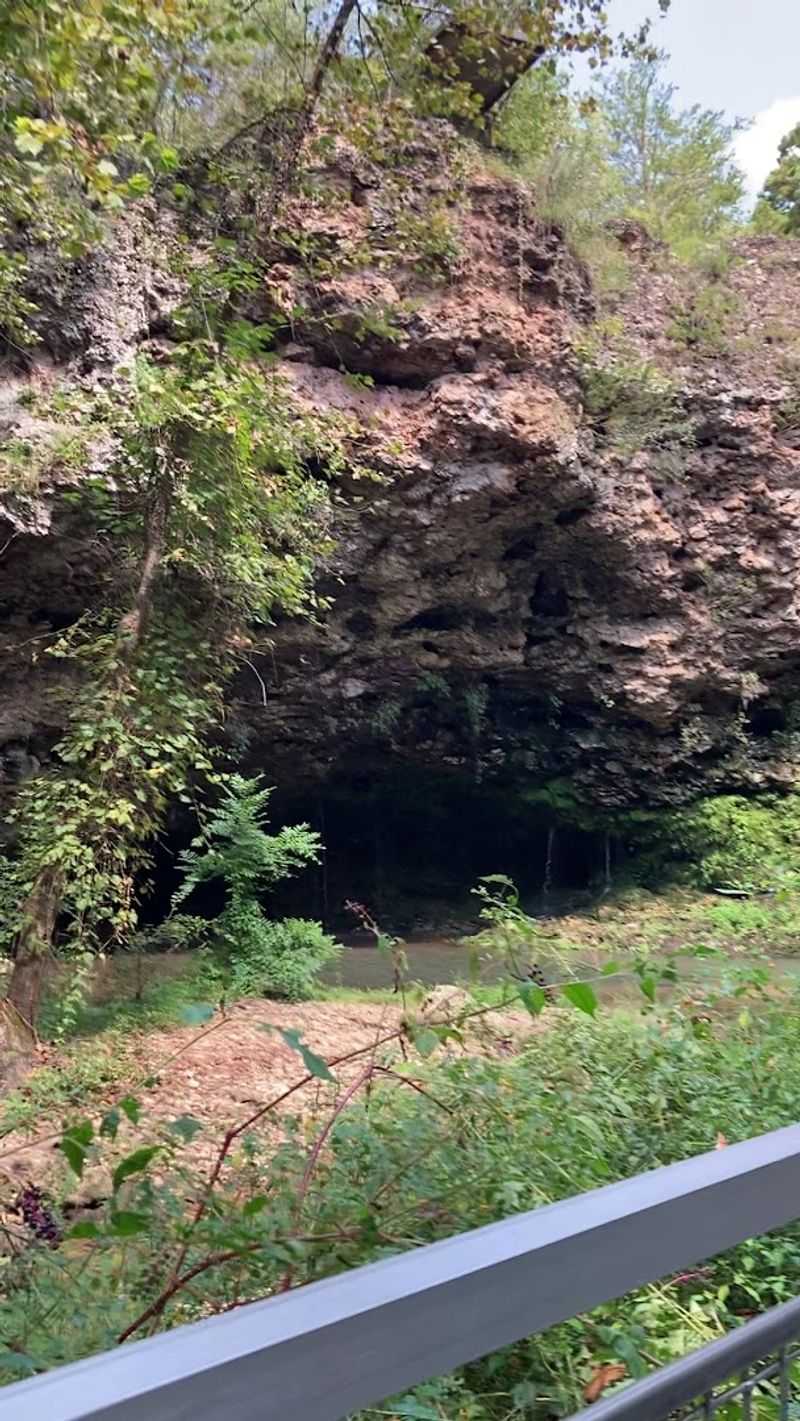The Forest Along the Path Has Stories in Its Details