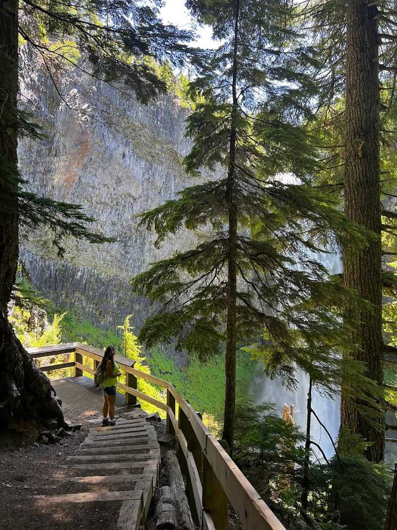 The Forest Around It Does A Lot Of Work