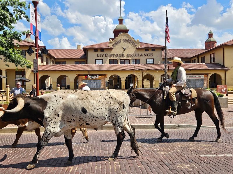 The Fort Worth Stockyards Setting That Makes Everything Better