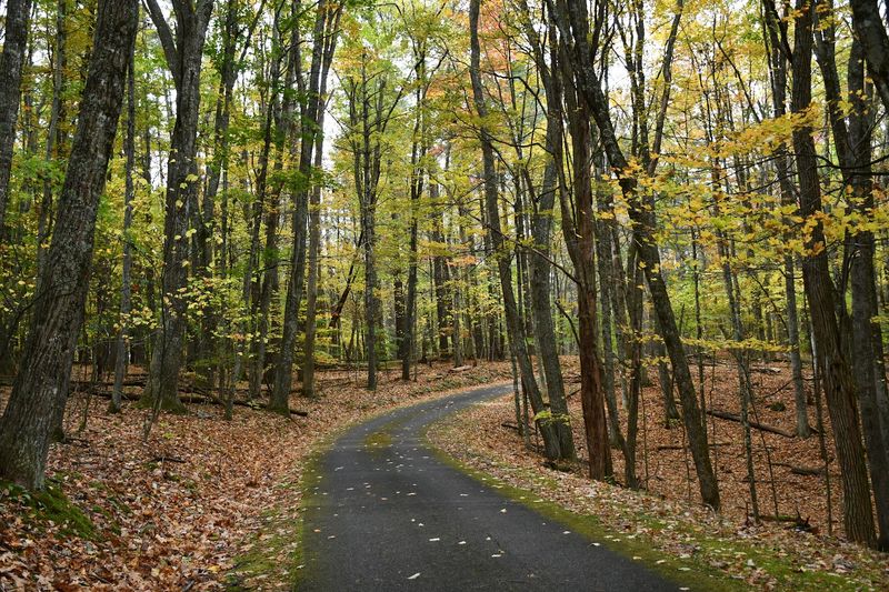 The Fred E. Brooks Memorial Arboretum Is a Living History Lesson