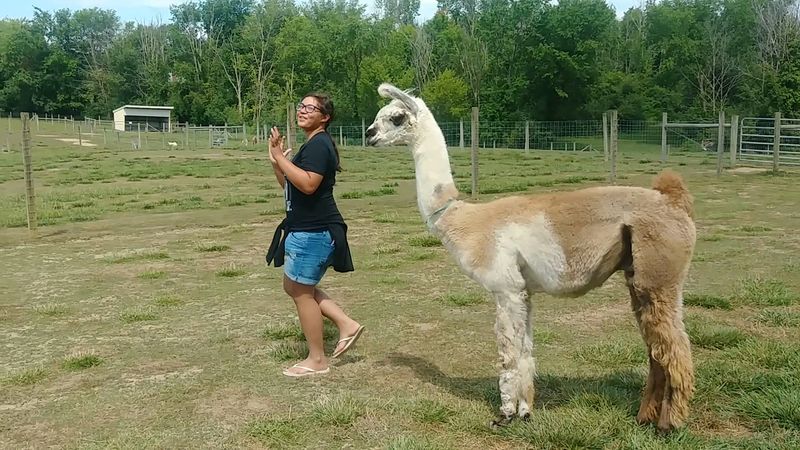 The Full Farm Experience: Self-Guided Tours, Goat Yoga, and the Boutique