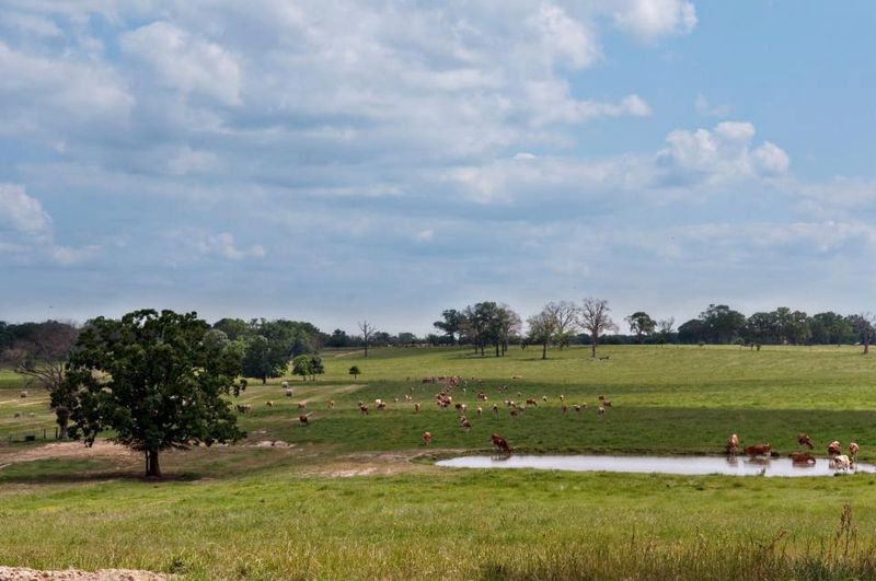 The Future of the Farm and What Gets Preserved