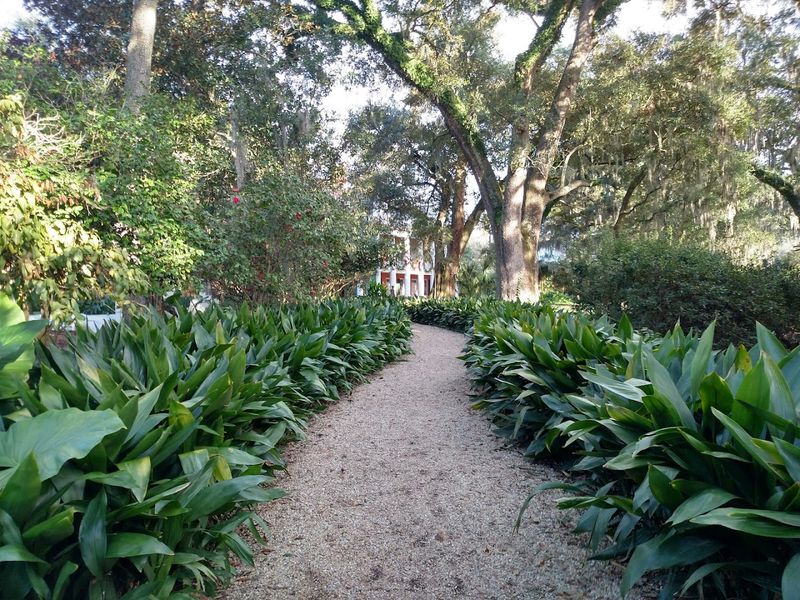 The Garden That Softens Everything Slightly