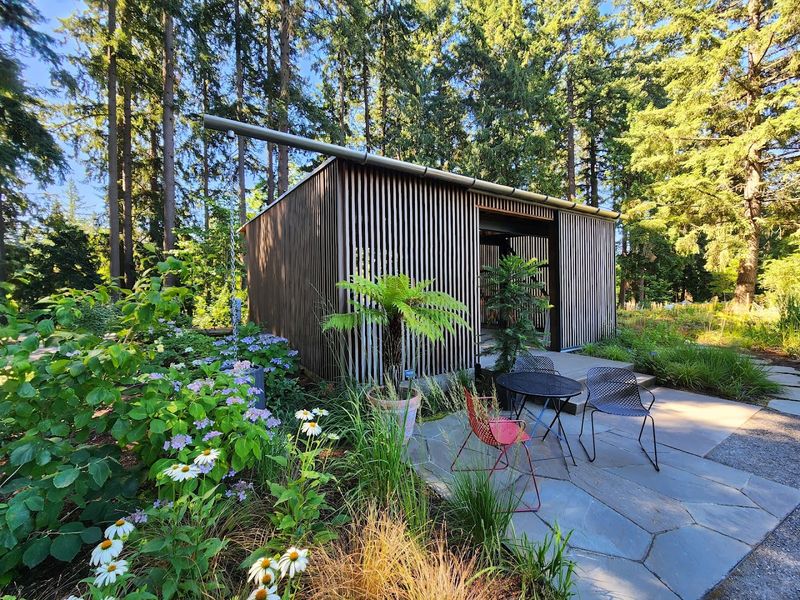 The Gift Shop and Small Comforts Along the Way