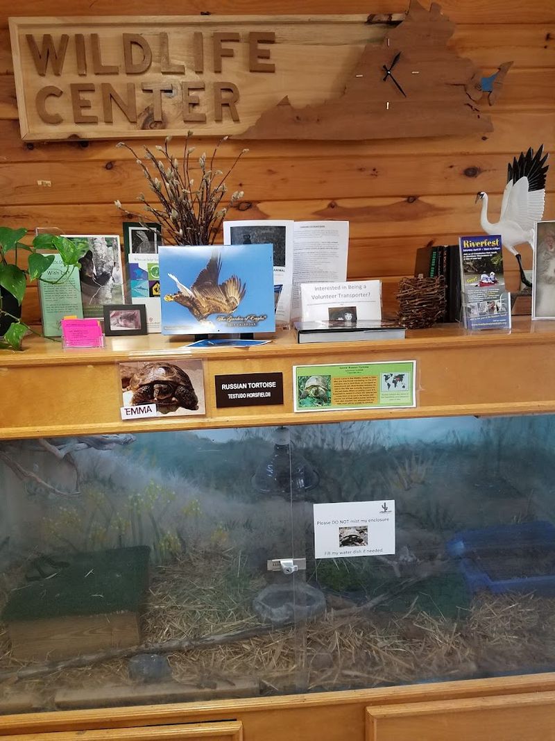 The Gift Shop and Ways to Support the Mission