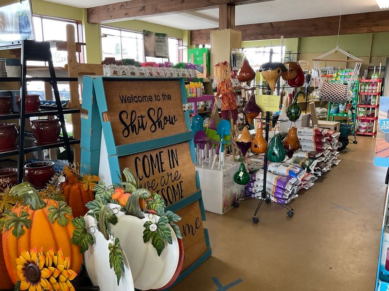 The Gift Shop
