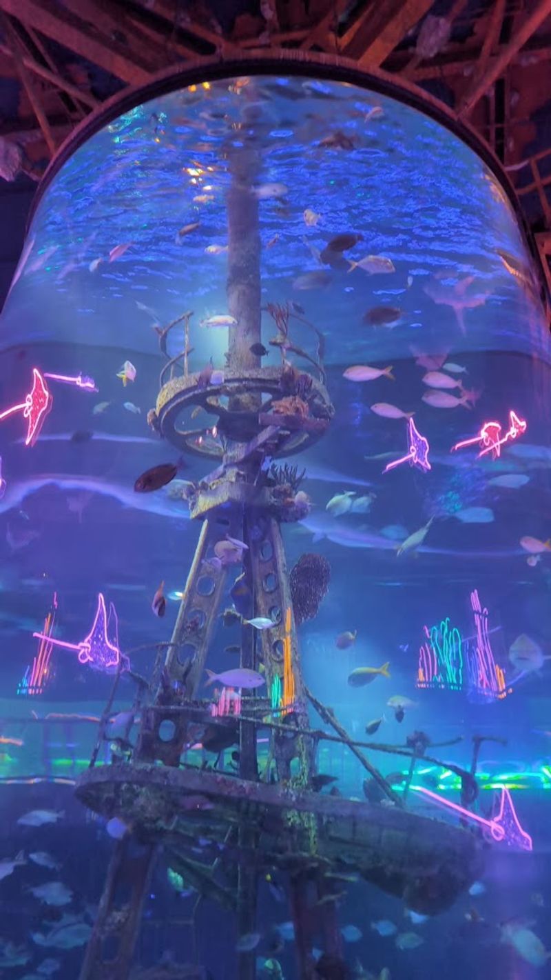 The Glass Ocean Tunnel and Its Sharks