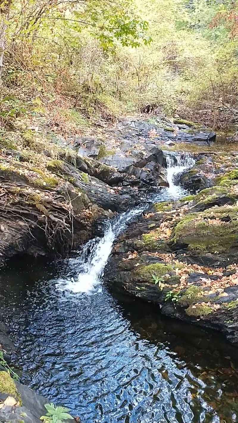The Gold Mining Trail: A Walk Back to the Creek