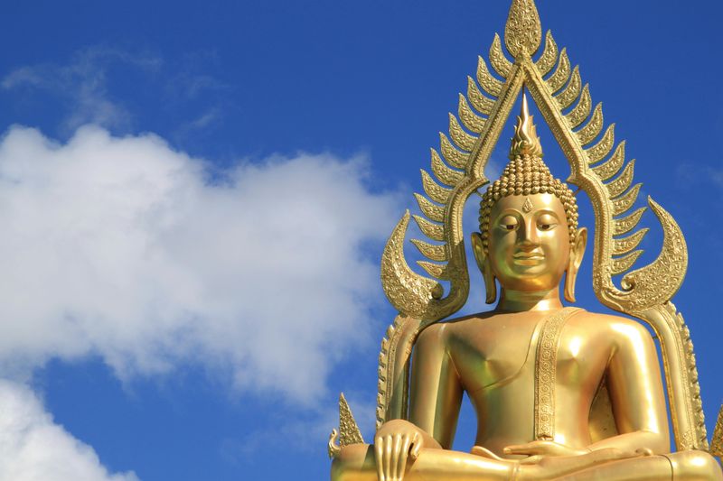 The Golden Buddha That Commands the Room The Golden Buddha That Commands the Room