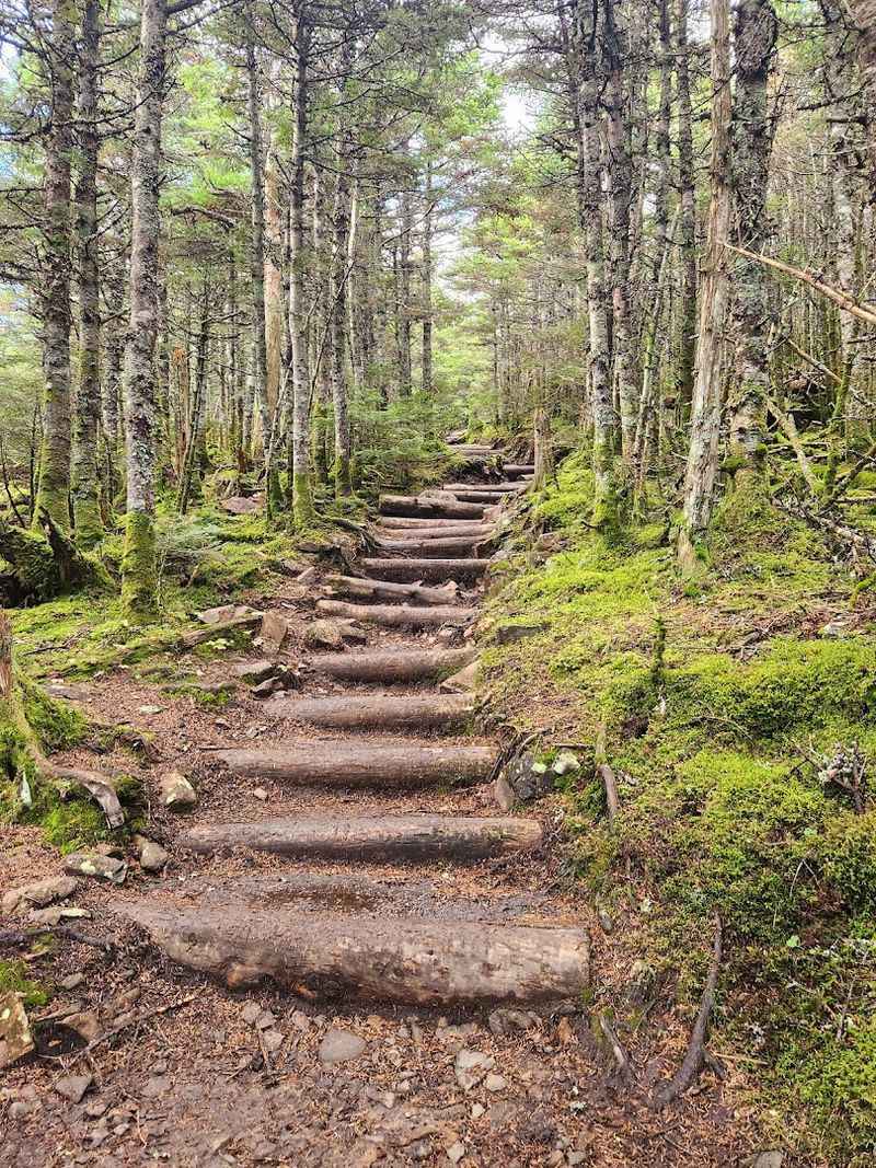 The Gradual Climb That Actually Feels Good on Your Legs The Gradual Climb That Actually Feels Good on Your Legs