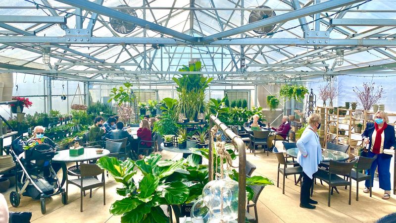 The Greenhouse Cafe Where Every Seat Feels Magical The Greenhouse Cafe Where Every Seat Feels Magical