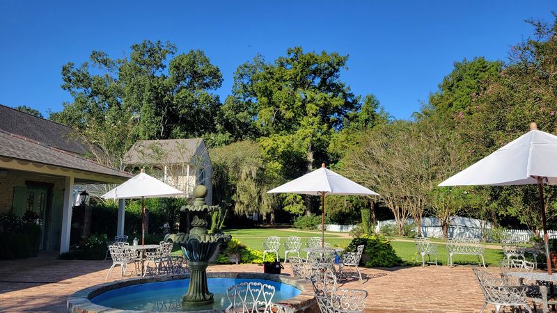 The Grounds, the Cafe, and the Unexpected Charm of Daytime