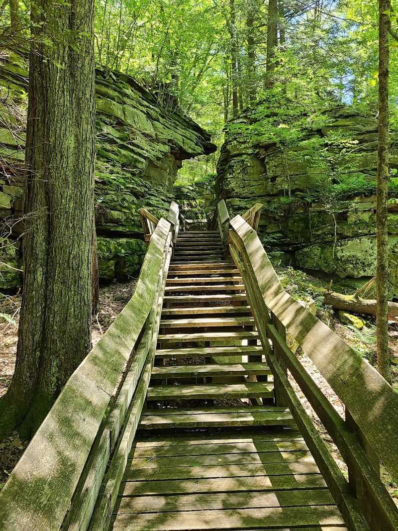The Half-Mile Boardwalk That Packs In Serious Wonder