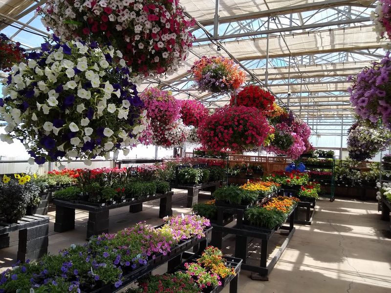 The Hanging Baskets Are Honestly Stunning The Hanging Baskets Are Honestly Stunning