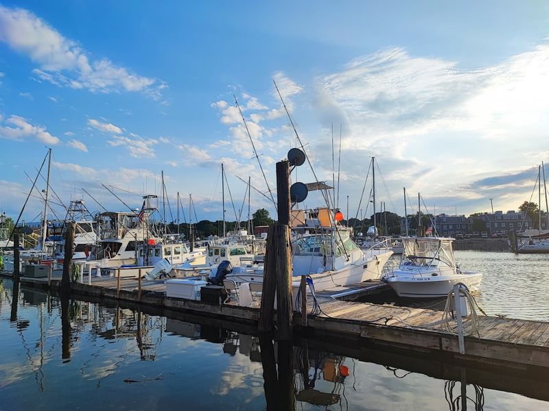 The Harbor Air Gets You First