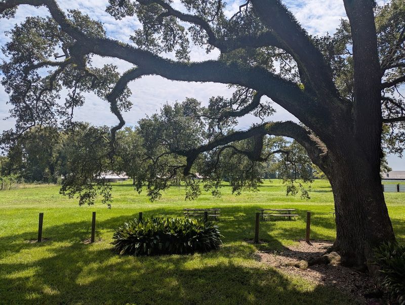 The Haunted Headstones and Cursed Family Graves