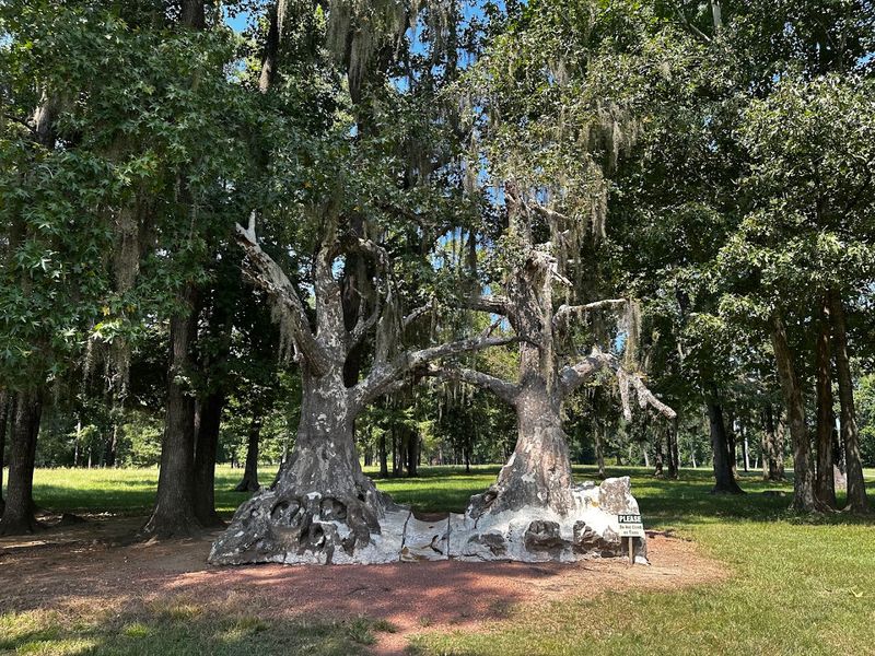 The Haunting Beauty of Natural Decay on a Private Island