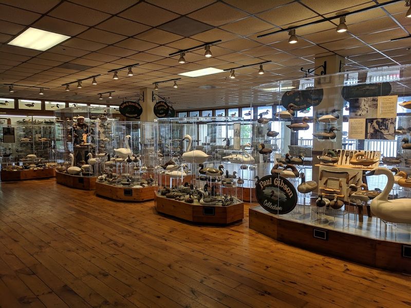 The Havre De Grace Decoy Museum