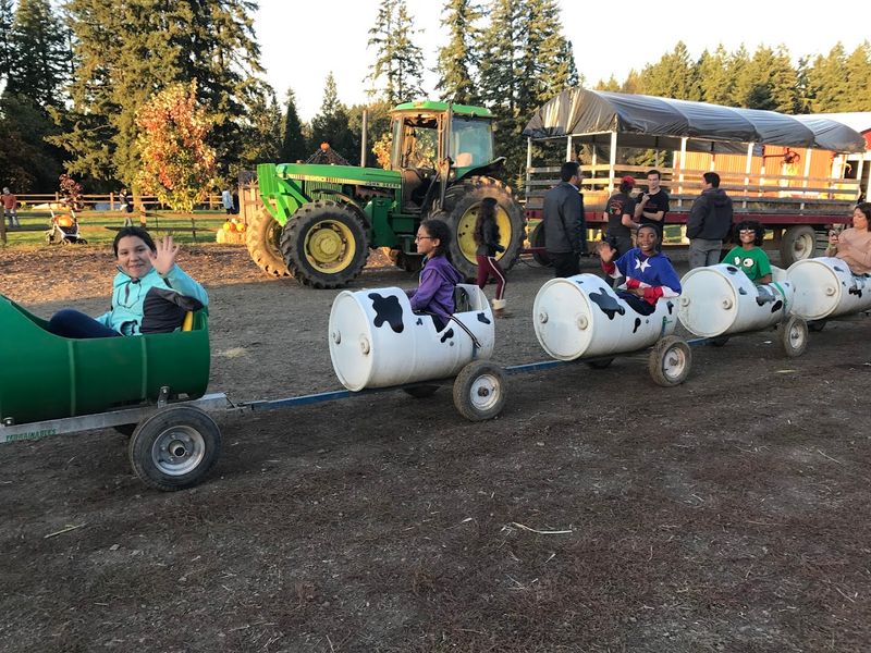The Hayride Experience Through a Working Farm