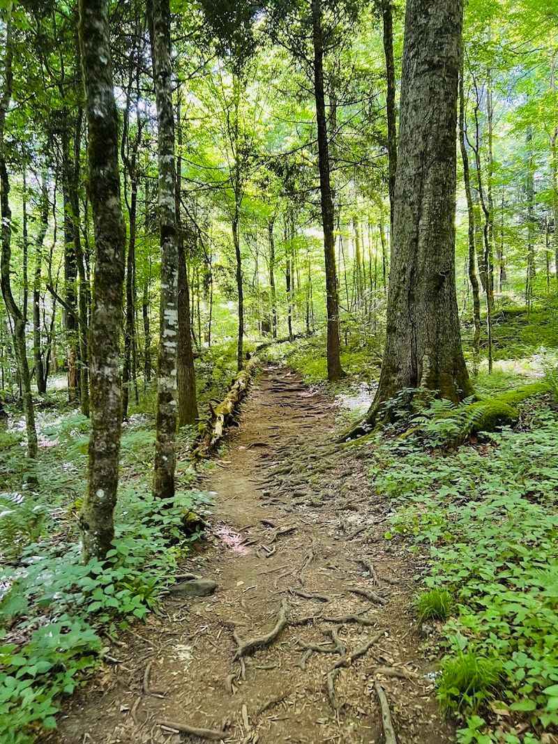 Hiking Through History: What a Visit Actually Feels Like
